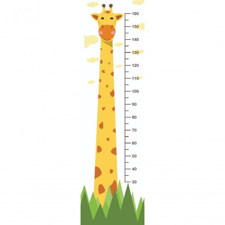 régua de crescimento infantil parede