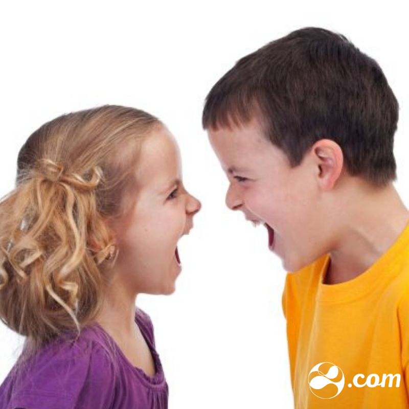 Conflitos Entre Irmãos Adultos: Quando é Hora de Estabelecer Limites?