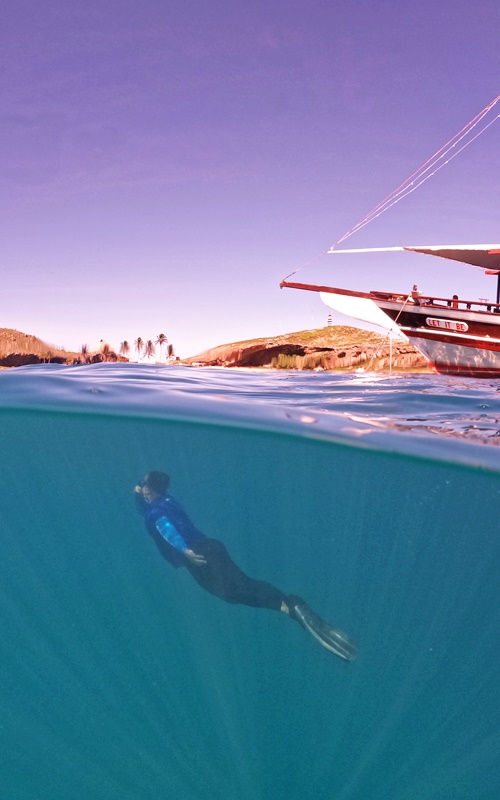 roteiro de viagem pela Costa das Baleias