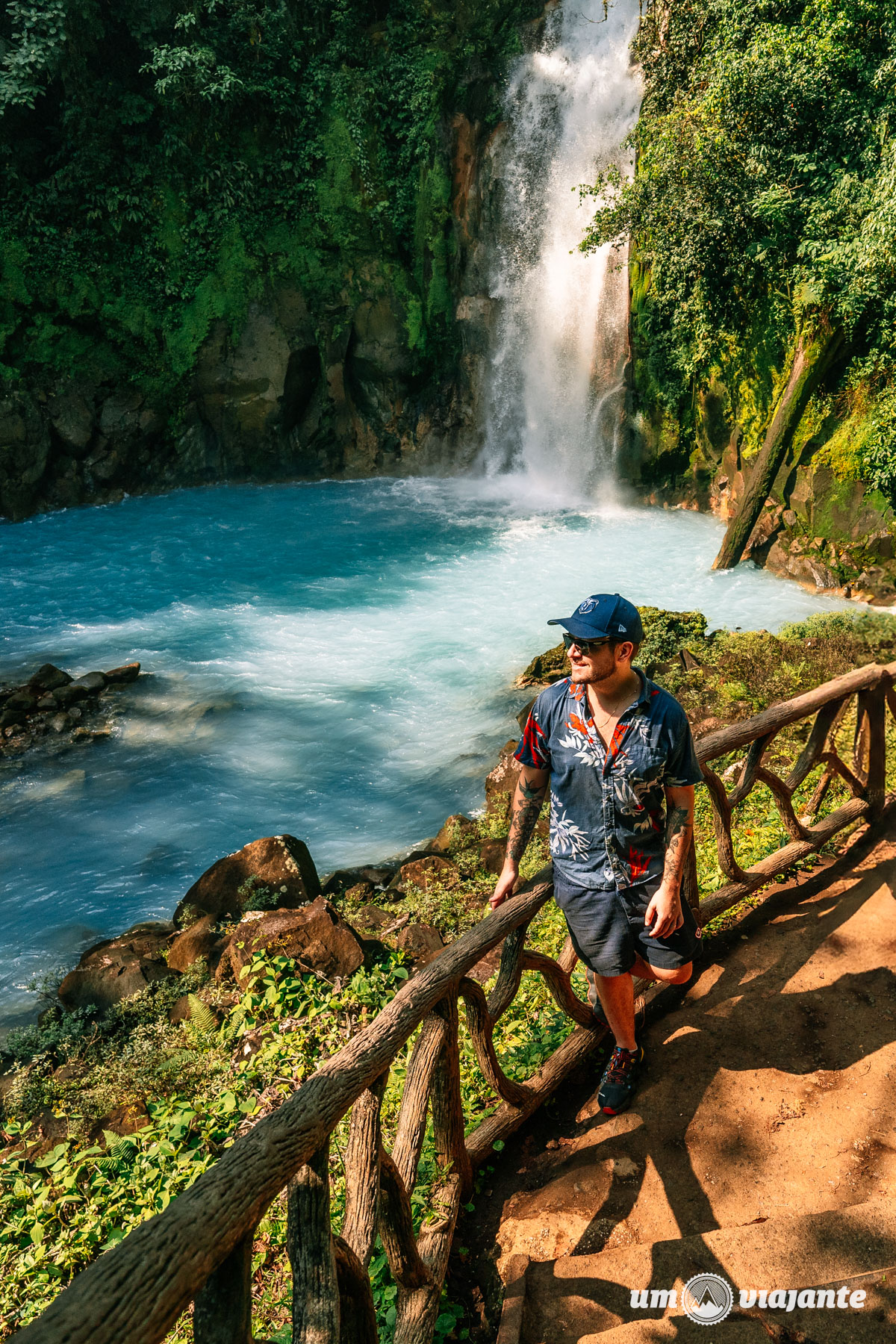Guia Completo para o Avistamento de Baleias-Jubarte na Bahia