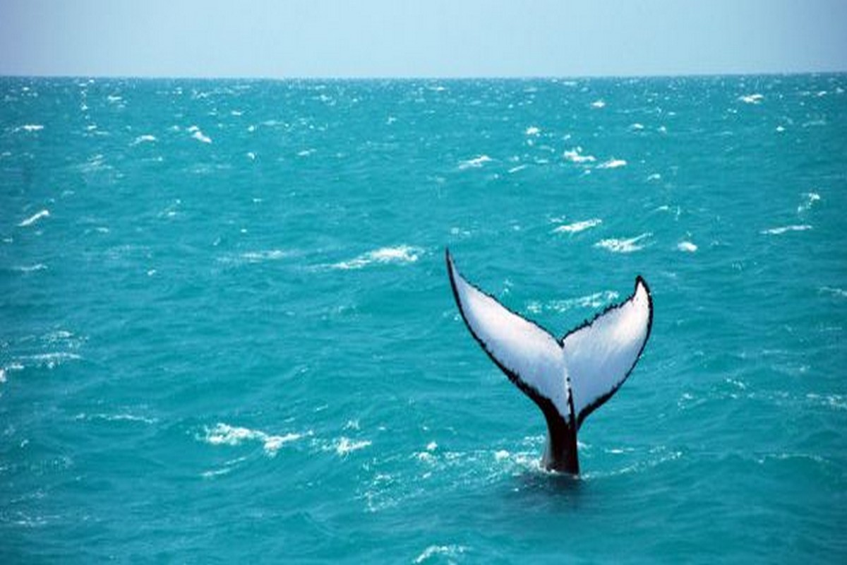 Roteiro de Moto no Sul da Bahia: Dicas Essenciais para uma Viagem Segura