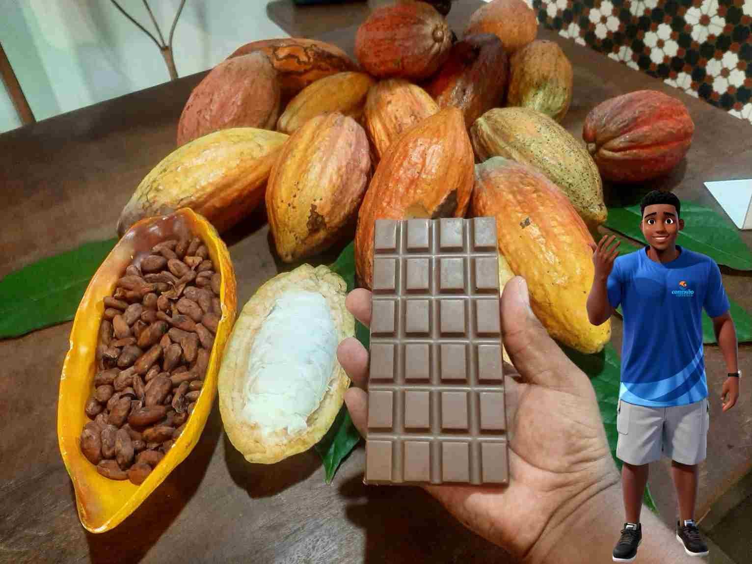 Como Planejar seu Roteiro de 7 Dias na Costa do Cacau em 2026