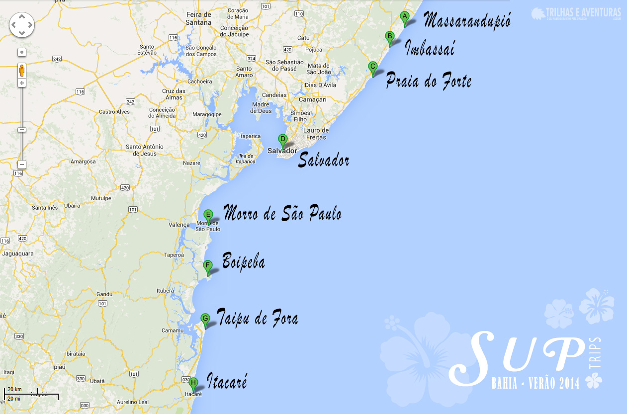 Praia do Forte vs. Costa do Sauípe: Qual o Melhor Destino para sua Família?