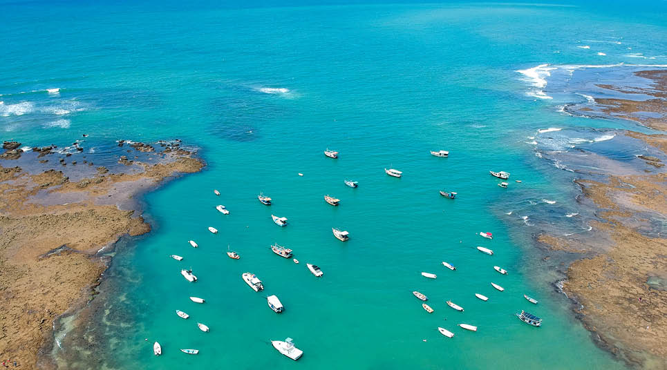 Praia do Forte vs. Costa do Sauípe: Qual o Melhor Destino para sua Família?