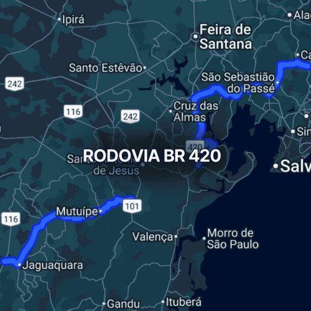 Guia Completo da Flica: Eventos e Atrações Imperdíveis