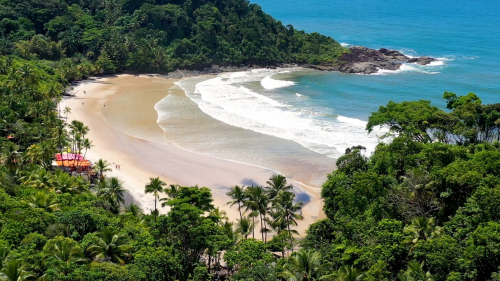 Descubra o Samba de Roda: A Alma do Recôncavo Baiano