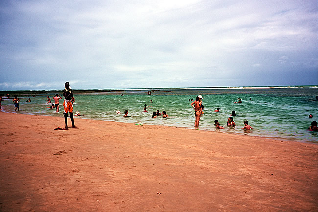 Descubra o Samba de Roda: A Alma do Recôncavo Baiano