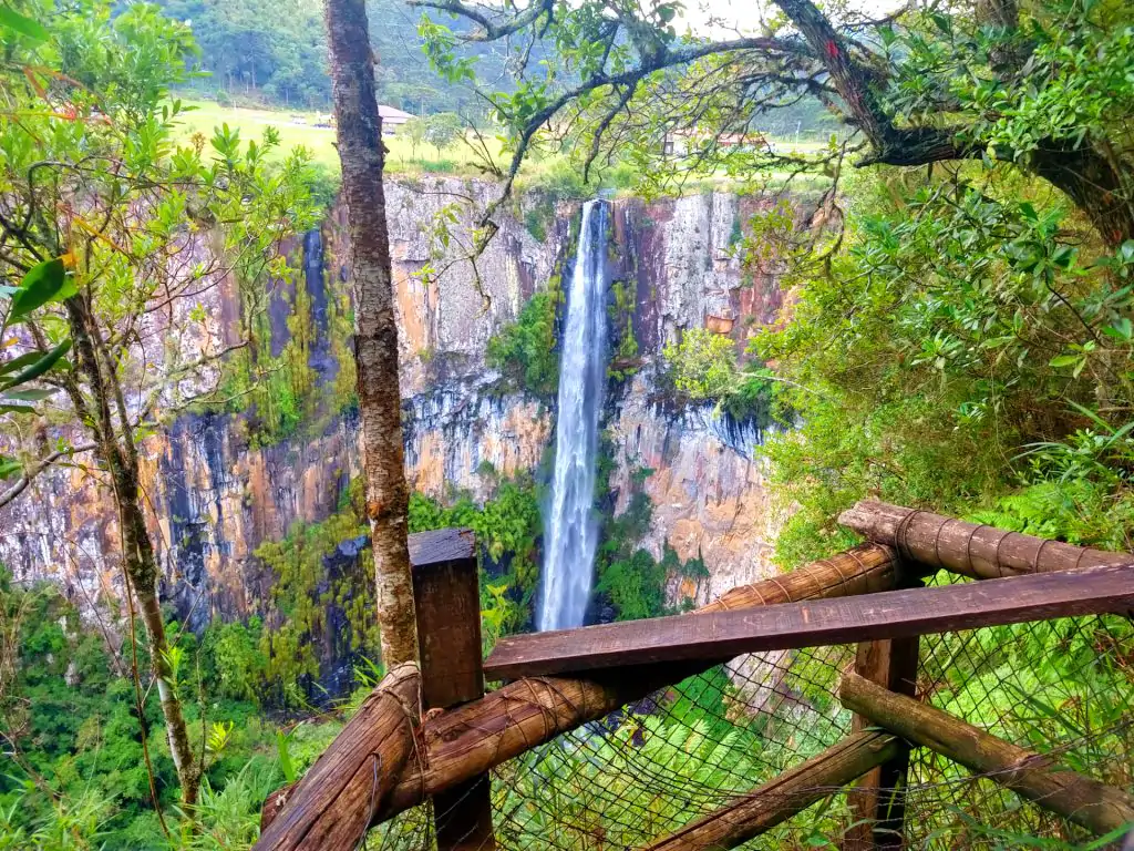 Melhores Vinícolas de Altitude para Visitar em São Joaquim