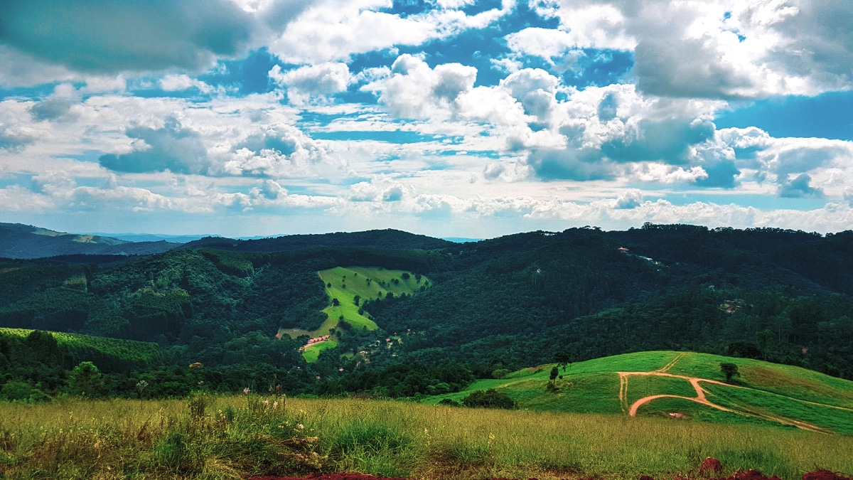 Explorando a Rota do Café no Sul de Minas: Fazendas e Degustações
