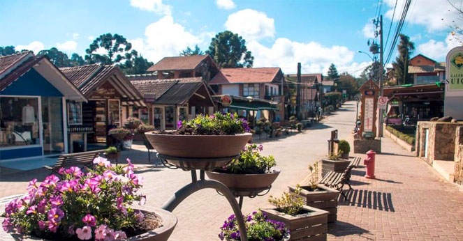 Explorando a Rota do Café no Sul de Minas: Fazendas e Degustações