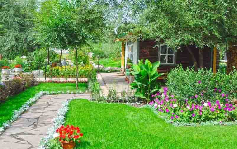 sapinho decorativo para jardim