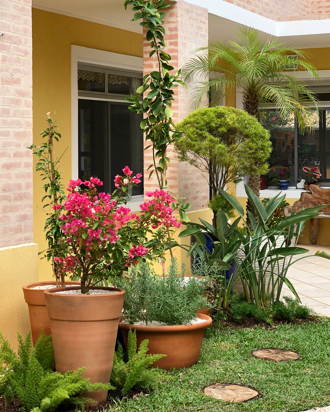 sapinho decorativo para jardim