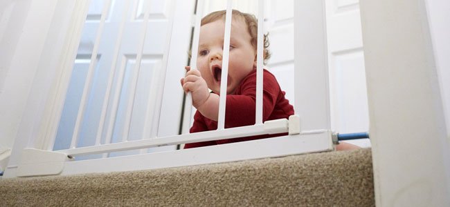 Plantas Tóxicas e Seguras para Ambientes com Crianças: Um Guia Completo