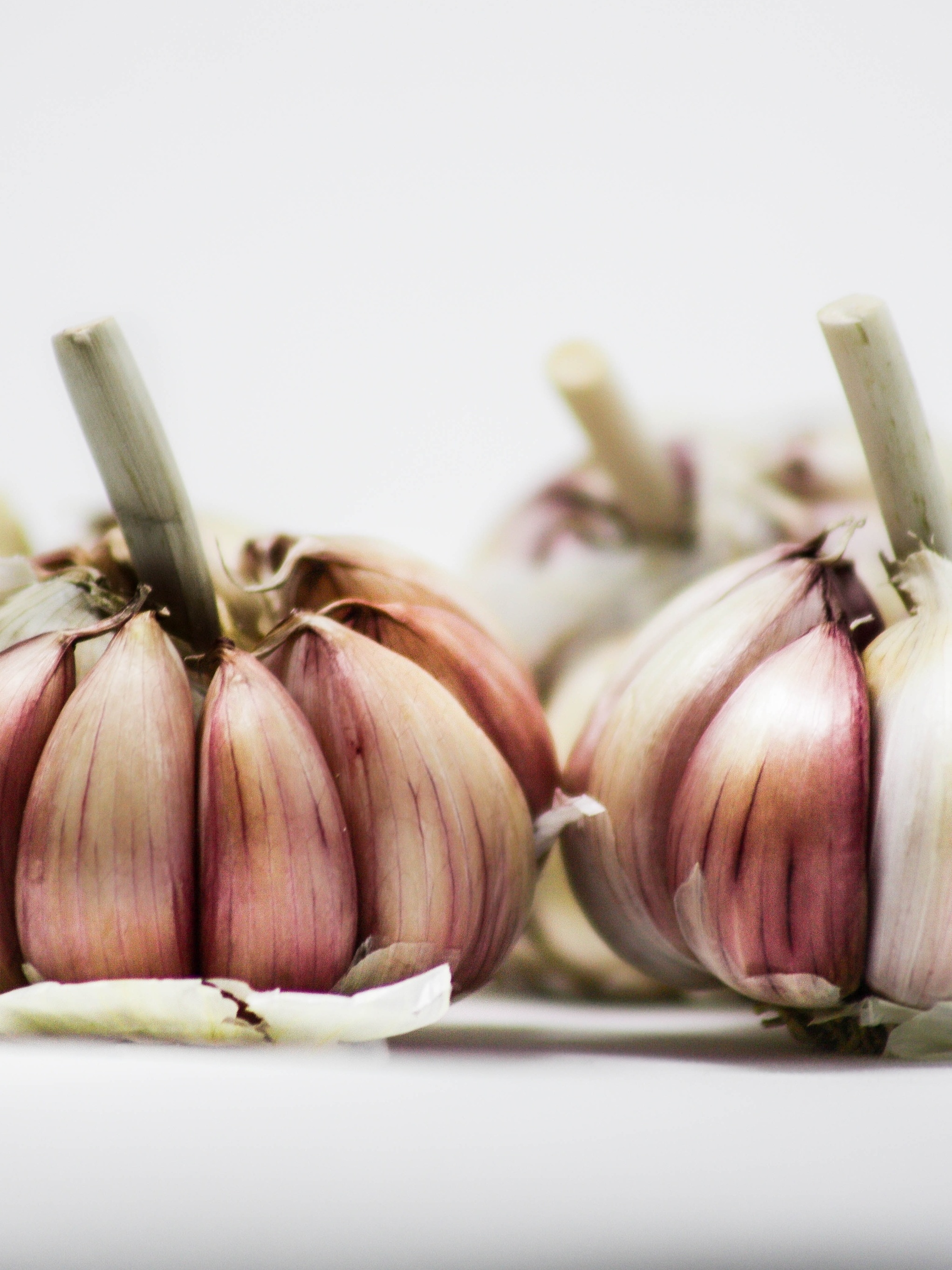 simpatia para atrair amor verdadeiro rapido