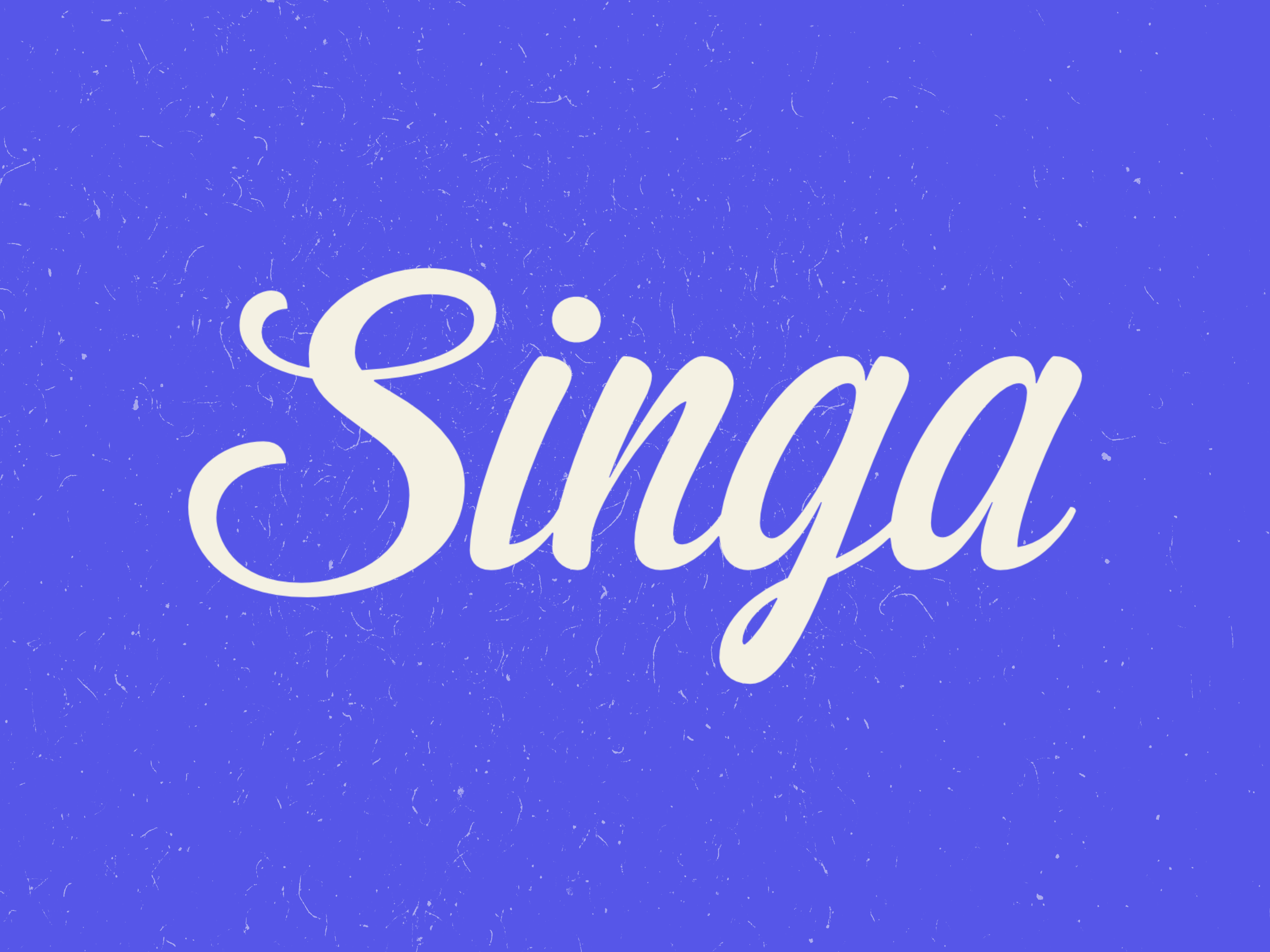 Singa: Guia Completo da Marca de Streetwear Sustentável