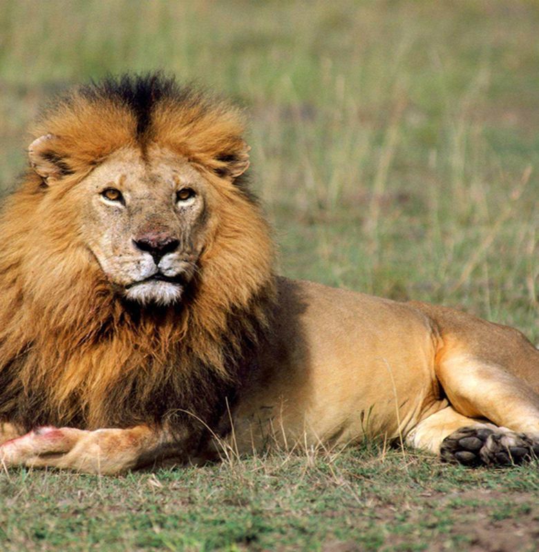 Como a Bolsa SINGA Pode Alavancar Sua Carreira Acadêmica em Singapura