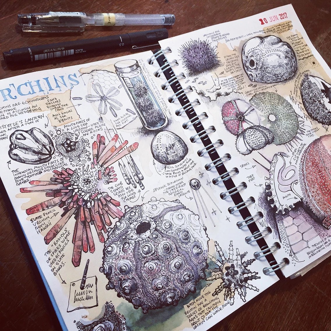 sketchbook Canson vs Moleskine