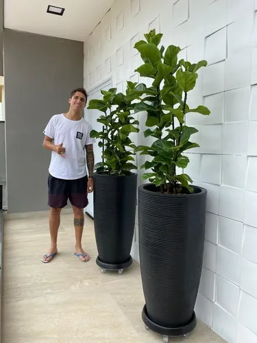 suporte para vasos com rodinhas