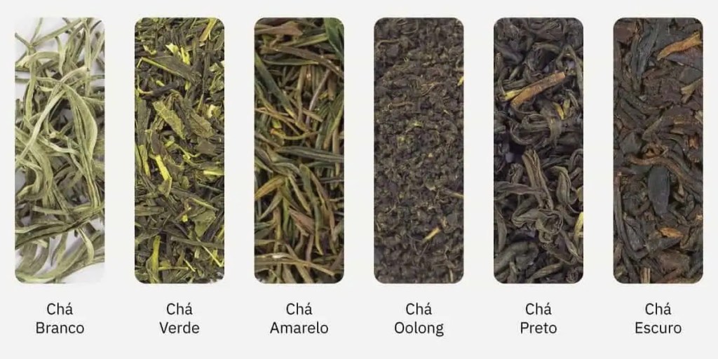 Guia Completo dos Chás Verdes Japoneses: Sencha