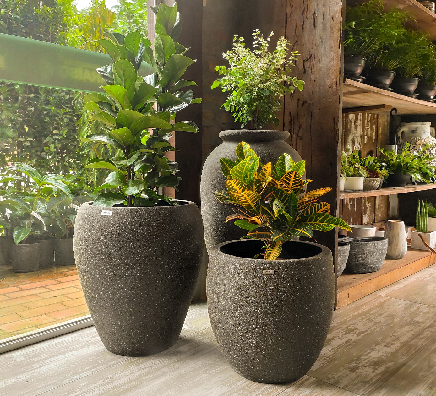 vasos para plantas grandes