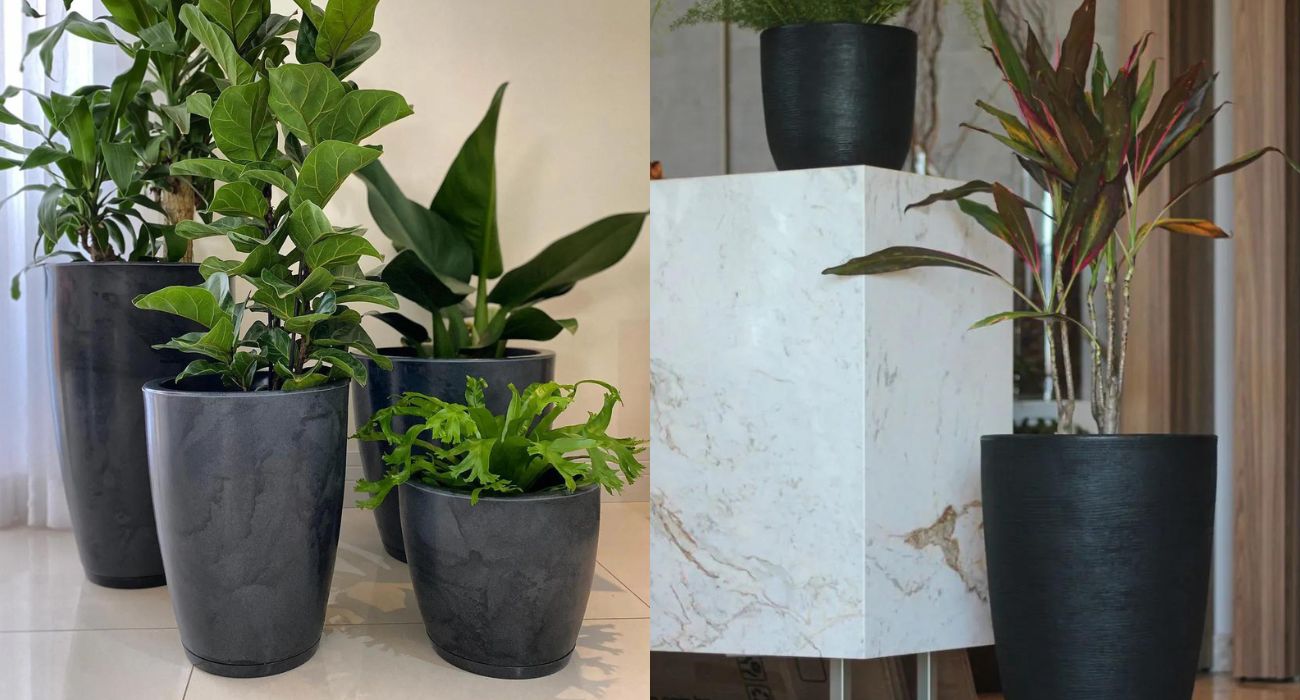 melhores vasos para plantas grandes em apartamento