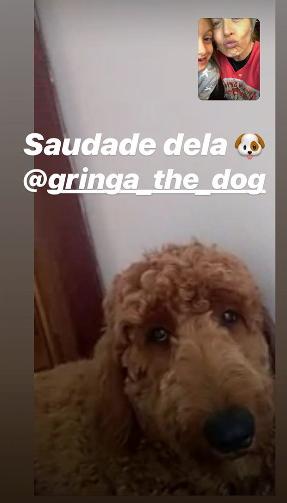 videochamadas para matar a saudade